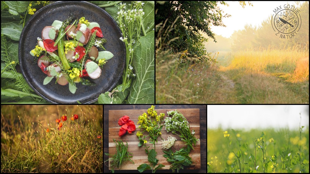 Untitled Export9.jpg