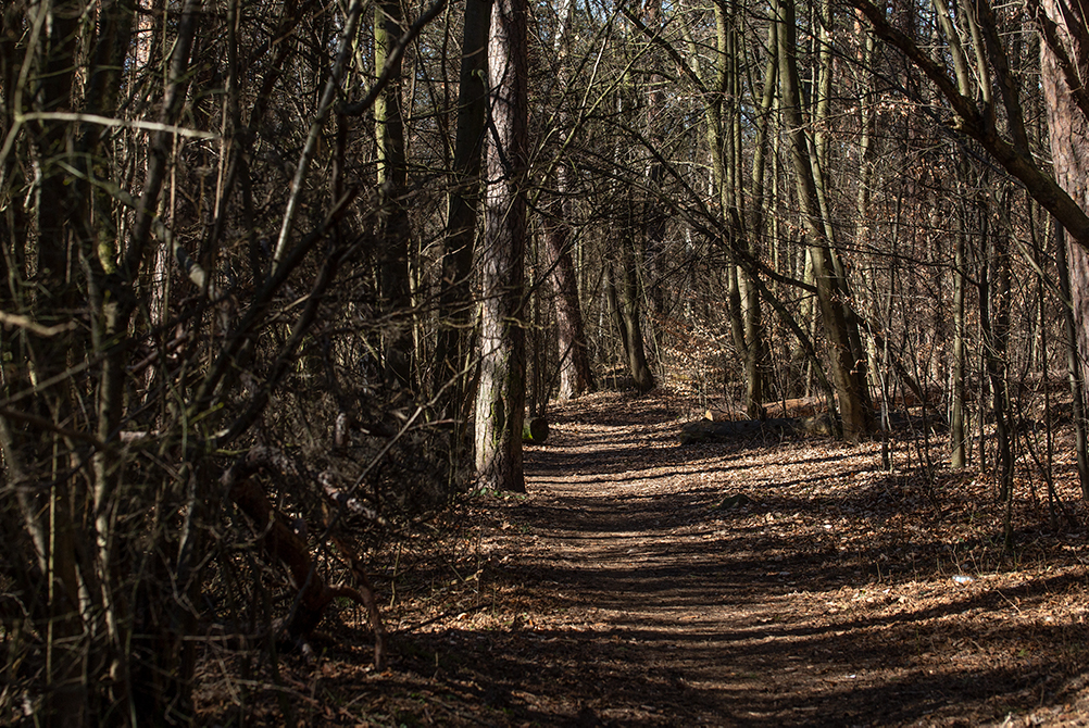 This image has an empty alt attribute; its file name is fb-1.jpg